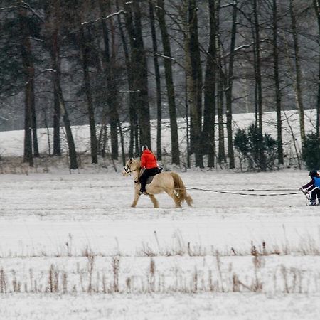 Kolorowe Wzgorze Agroturystyka I Konie Trojanow Exteriör bild