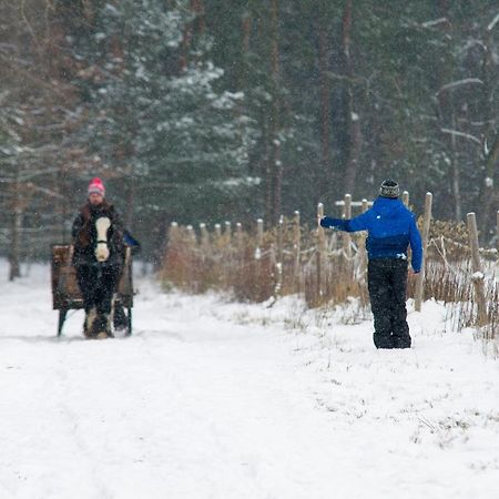 Kolorowe Wzgorze Agroturystyka I Konie Trojanow Exteriör bild