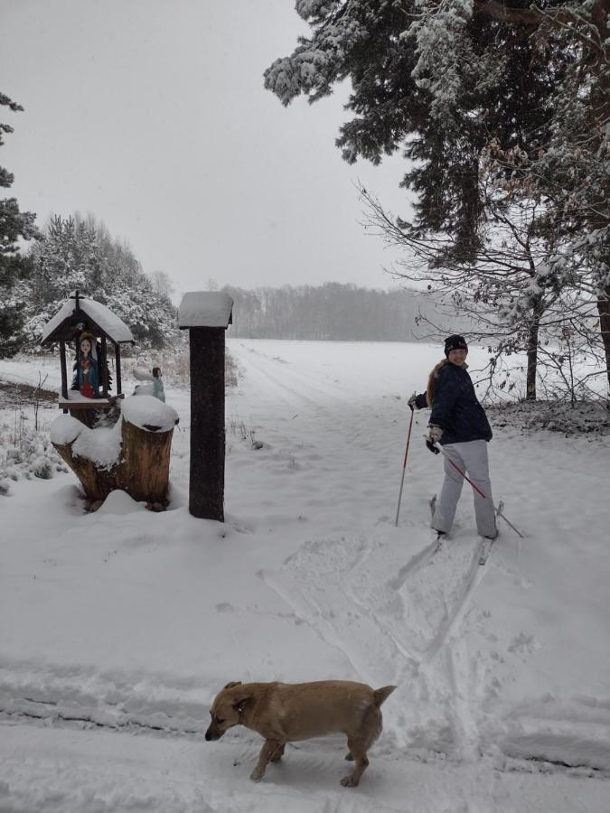 Kolorowe Wzgorze Agroturystyka I Konie Trojanow Exteriör bild