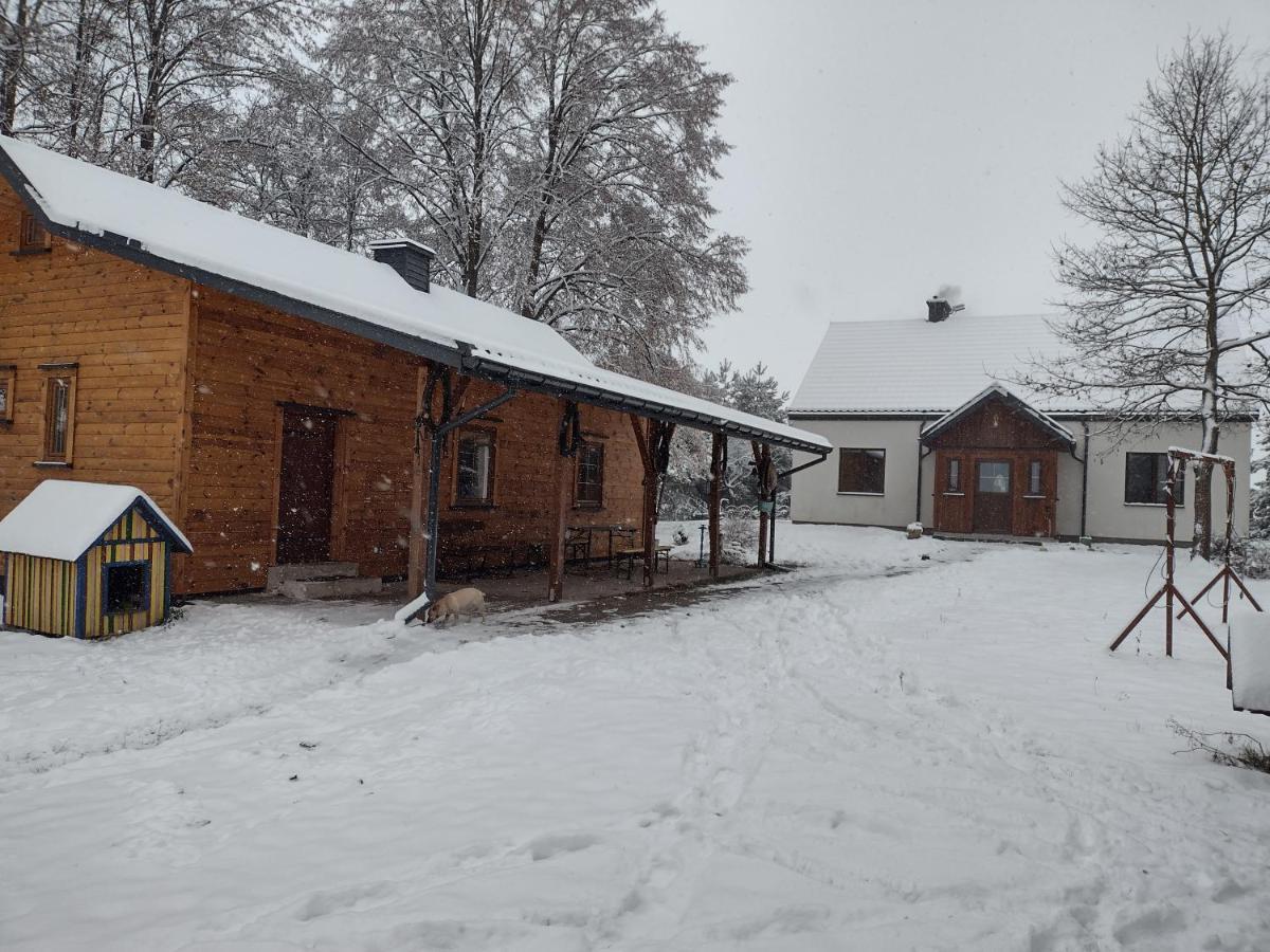Kolorowe Wzgorze Agroturystyka I Konie Trojanow Exteriör bild