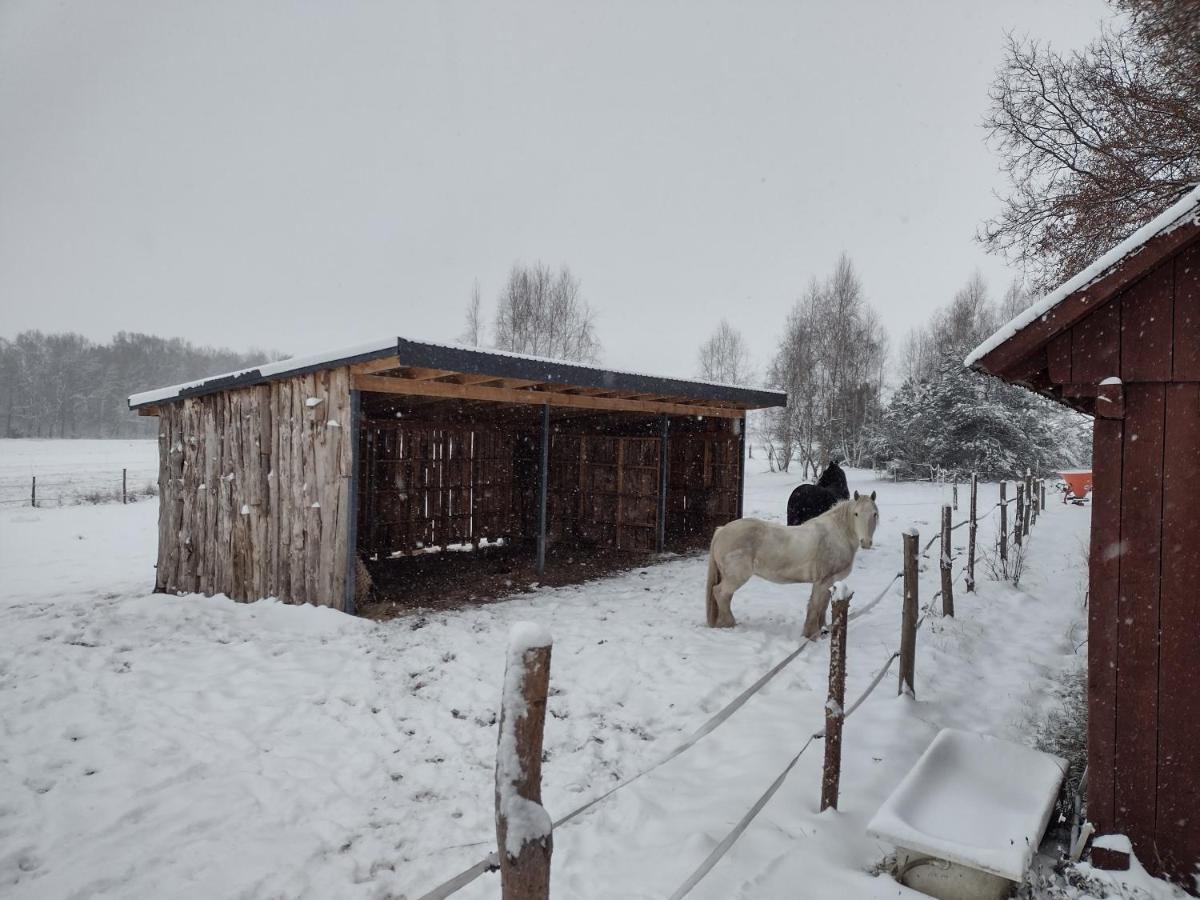 Kolorowe Wzgorze Agroturystyka I Konie Trojanow Exteriör bild