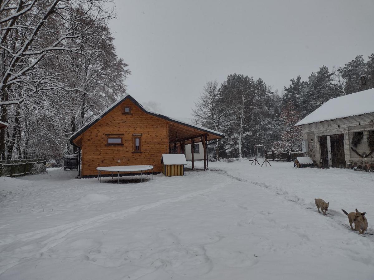 Kolorowe Wzgorze Agroturystyka I Konie Trojanow Exteriör bild