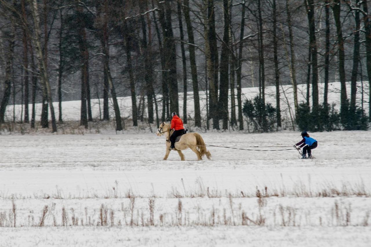Kolorowe Wzgorze Agroturystyka I Konie Trojanow Exteriör bild