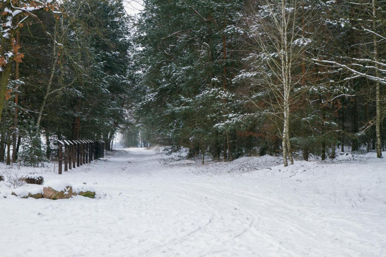 Kolorowe Wzgorze Agroturystyka I Konie Trojanow Exteriör bild