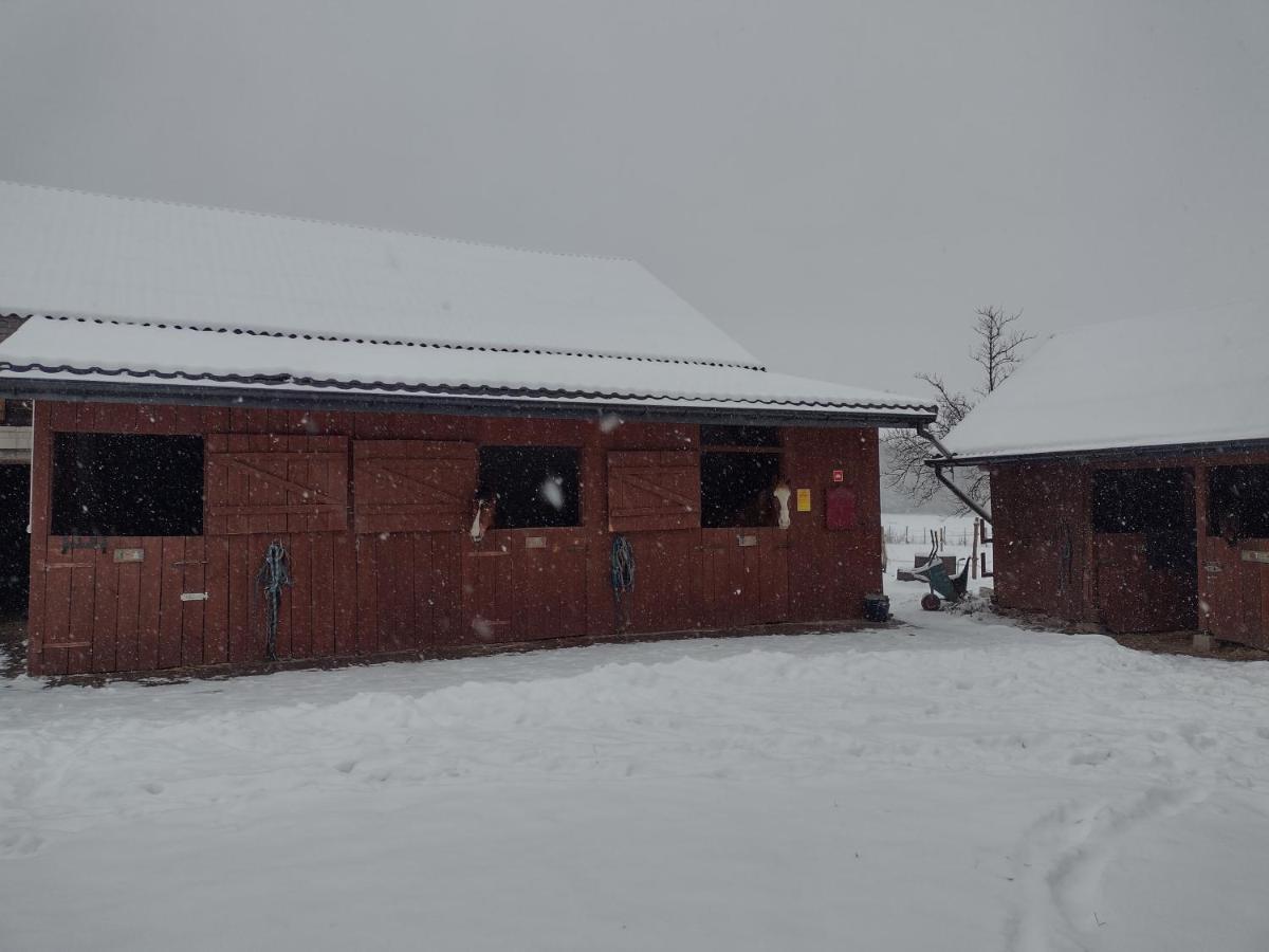 Kolorowe Wzgorze Agroturystyka I Konie Trojanow Exteriör bild