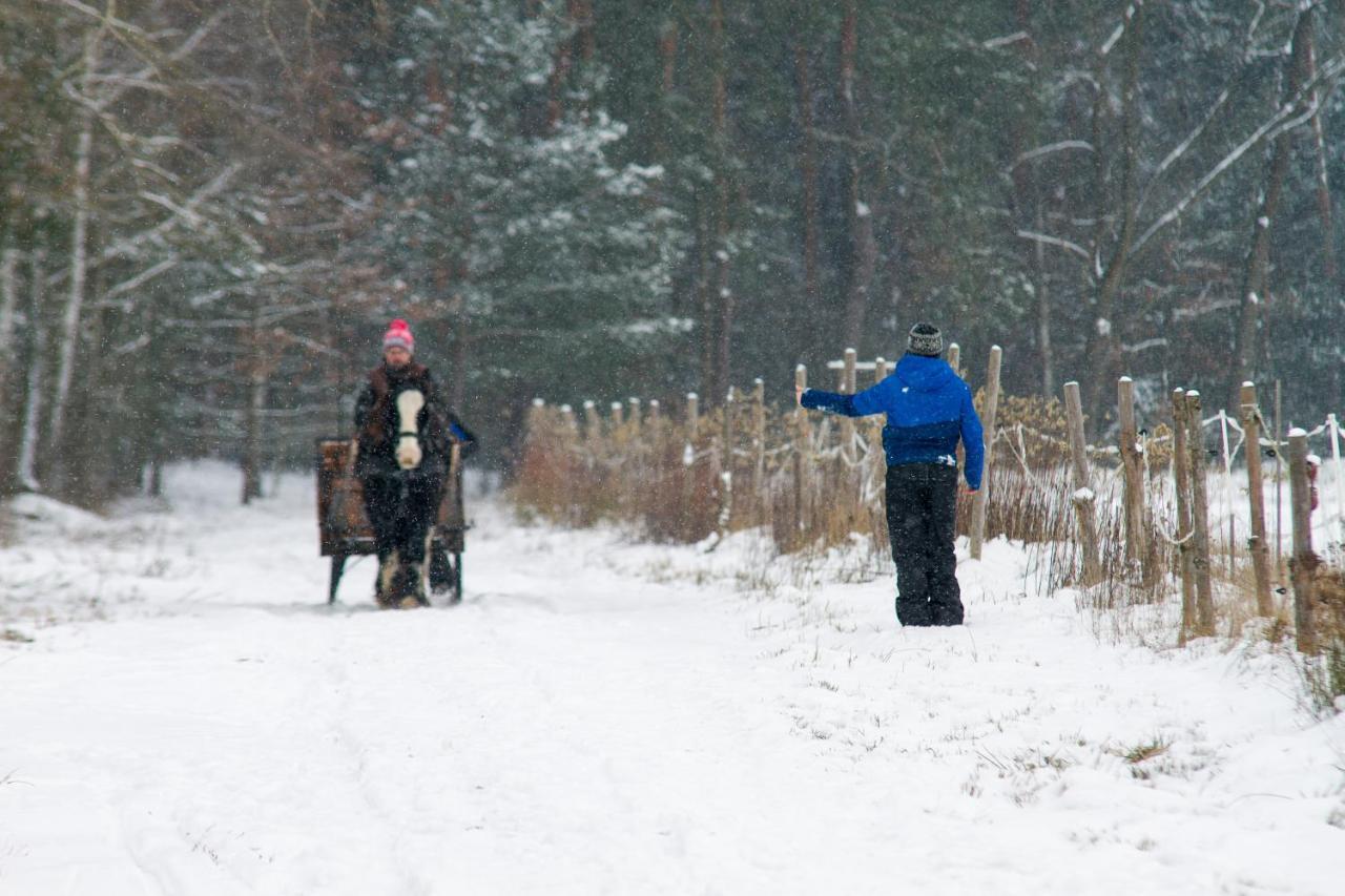 Kolorowe Wzgorze Agroturystyka I Konie Trojanow Exteriör bild