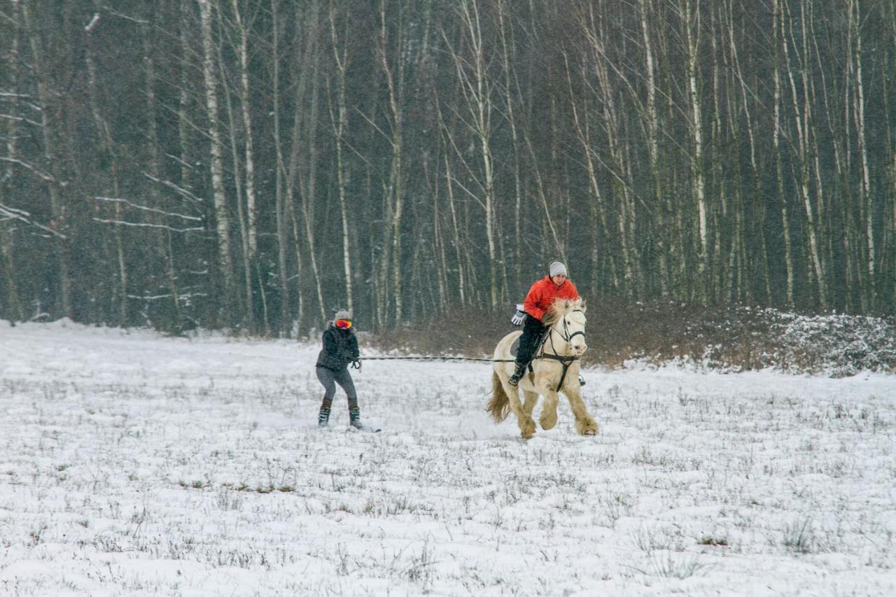 Kolorowe Wzgorze Agroturystyka I Konie Trojanow Exteriör bild