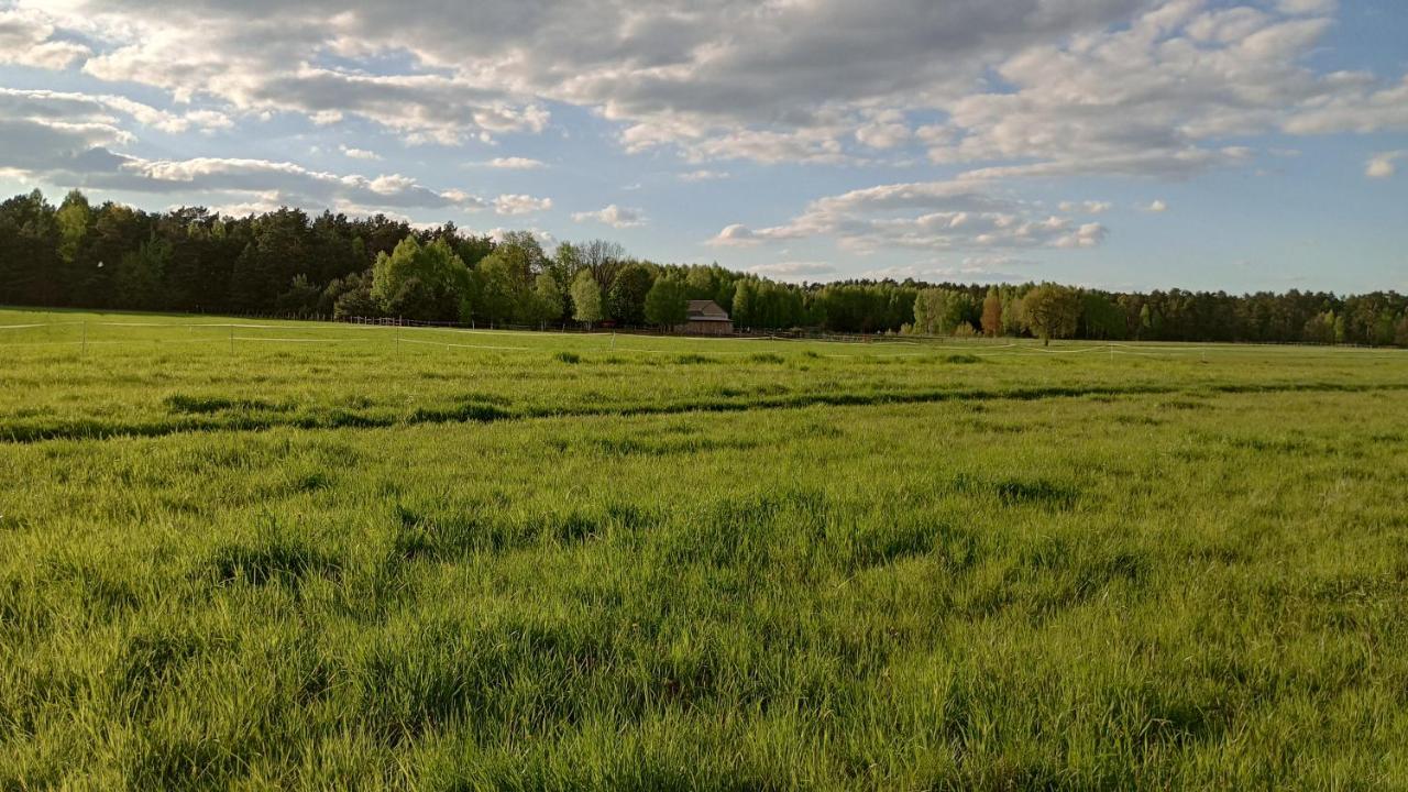 Kolorowe Wzgorze Agroturystyka I Konie Trojanow Exteriör bild