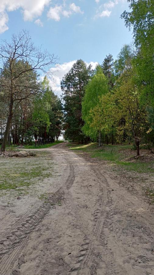 Kolorowe Wzgorze Agroturystyka I Konie Trojanow Exteriör bild