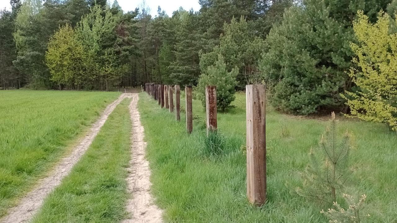 Kolorowe Wzgorze Agroturystyka I Konie Trojanow Exteriör bild